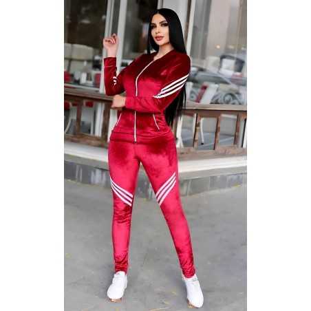 Set Aris